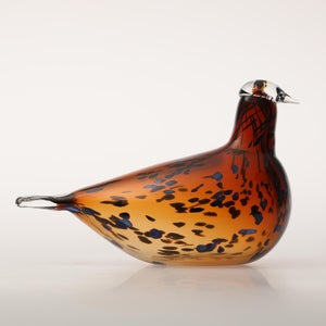 Birds Pekkasiini コッパーブラウン 0209