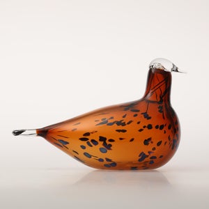 Birds Pekkasiini コッパーブラウン 0210