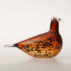 Birds Pekkasiini コッパーブラウン 0211