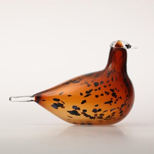 Birds Pekkasiini コッパーブラウン 0212