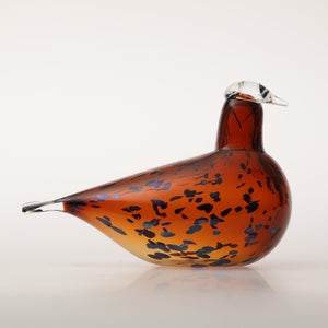 Birds Pekkasiini コッパーブラウン 0213