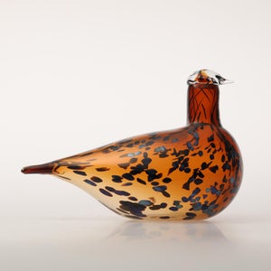 Birds Pekkasiini コッパーブラウン 0214