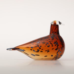 Birds Pekkasiini コッパーブラウン 0216