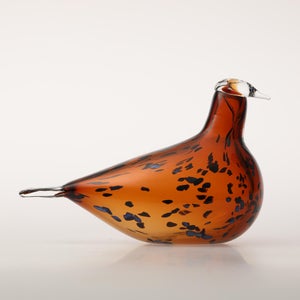 Birds Pekkasiini コッパーブラウン 0217