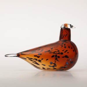 Birds Pekkasiini コッパーブラウン 0218