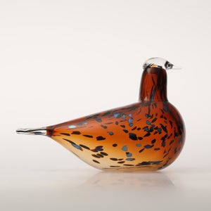 Birds Pekkasiini コッパーブラウン 0219