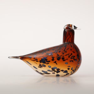 Birds Pekkasiini コッパーブラウン 0220