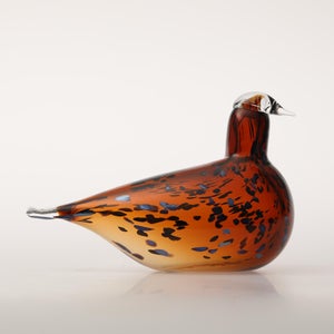 Birds Pekkasiini コッパーブラウン 0221