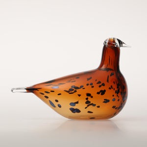 Birds Pekkasiini コッパーブラウン 0223