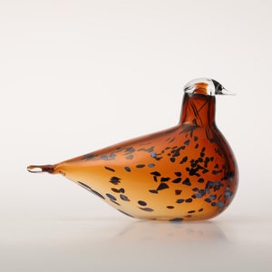 Birds Pekkasiini コッパーブラウン 0224