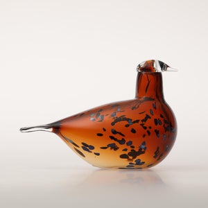 Birds Pekkasiini コッパーブラウン 0225