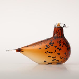 Birds Pekkasiini コッパーブラウン 0226