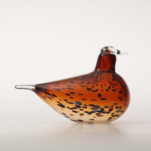 Birds Pekkasiini コッパーブラウン 0227