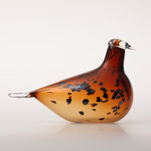 Birds Pekkasiini コッパーブラウン 0228