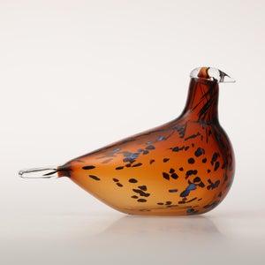 Birds Pekkasiini コッパーブラウン 0229