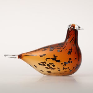 Birds Pekkasiini コッパーブラウン 0230