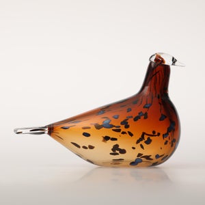 Birds Pekkasiini コッパーブラウン 0231