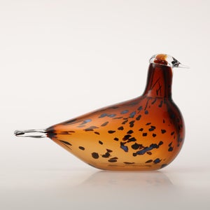 Birds Pekkasiini コッパーブラウン 0232