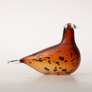 Birds Pekkasiini コッパーブラウン 0233