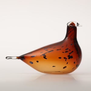 Birds Pekkasiini コッパーブラウン 0234