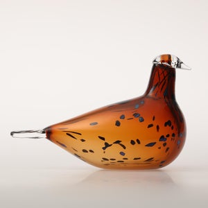 Birds Pekkasiini コッパーブラウン 0235