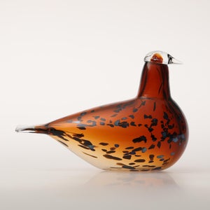 Birds Pekkasiini コッパーブラウン 0236