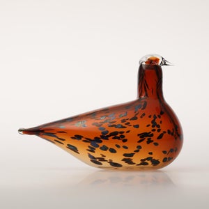 Birds Pekkasiini コッパーブラウン 0237