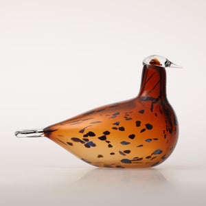 Birds Pekkasiini コッパーブラウン 0238