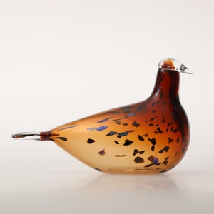 Birds Pekkasiini コッパーブラウン 0239