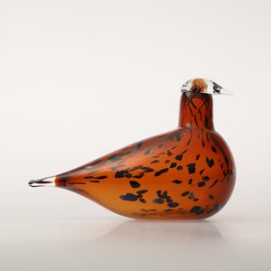 Birds Pekkasiini コッパーブラウン 0240