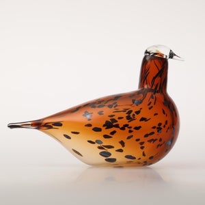 Birds Pekkasiini コッパーブラウン 0241