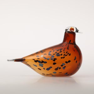 Birds Pekkasiini コッパーブラウン 0242