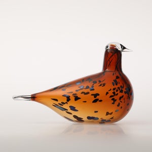 Birds Pekkasiini コッパーブラウン 0243