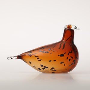 Birds Pekkasiini コッパーブラウン 0244