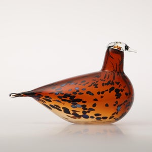 Birds Pekkasiini コッパーブラウン 0245