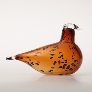 Birds Pekkasiini コッパーブラウン 0246