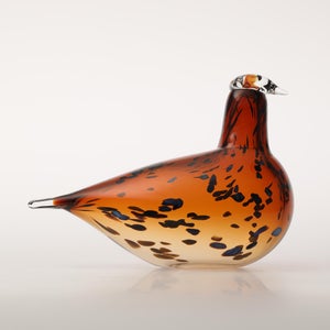 Birds Pekkasiini コッパーブラウン 0247