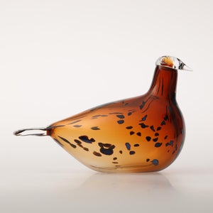 Birds Pekkasiini コッパーブラウン 0249