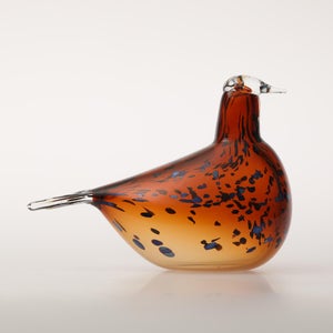 Birds Pekkasiini コッパーブラウン 0251