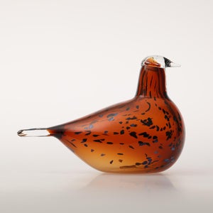 Birds Pekkasiini コッパーブラウン 0252