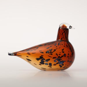 Birds Pekkasiini コッパーブラウン 0253