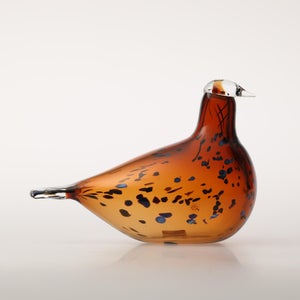 Birds Pekkasiini コッパーブラウン 0254