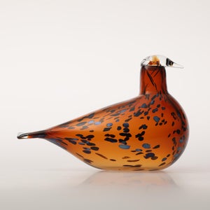 Birds Pekkasiini コッパーブラウン 0257