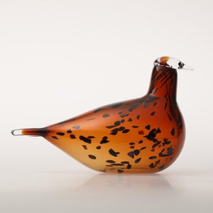 Birds Pekkasiini コッパーブラウン 0258