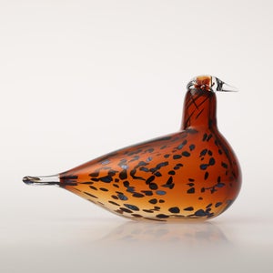 Birds Pekkasiini コッパーブラウン 0259