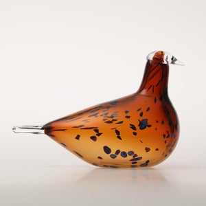 Birds Pekkasiini コッパーブラウン 0260