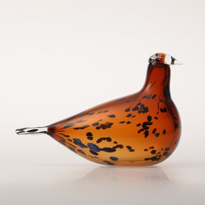 Birds Pekkasiini コッパーブラウン 0261