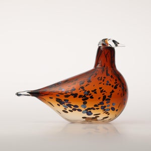 Birds Pekkasiini コッパーブラウン 0262