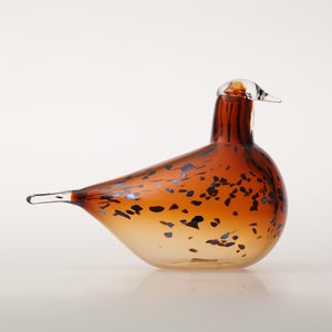 Birds Pekkasiini コッパーブラウン 0263