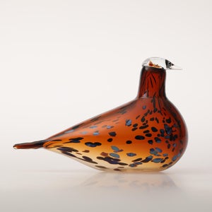 Birds Pekkasiini コッパーブラウン 0264